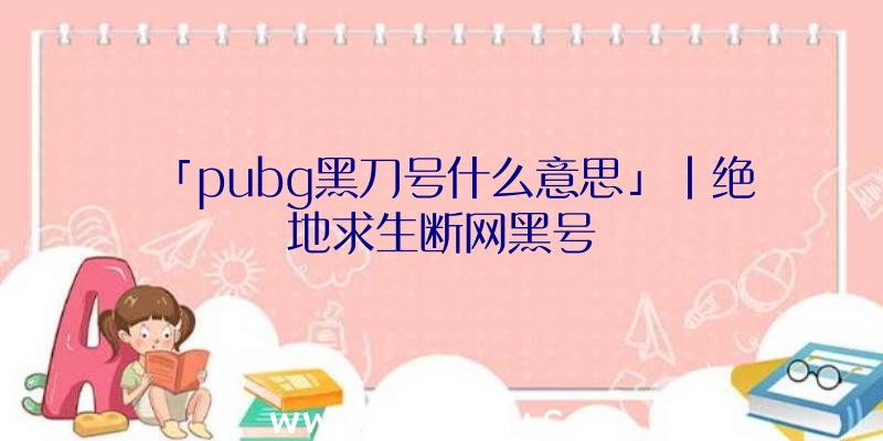 「pubg黑刀号什么意思」|绝地求生断网黑号